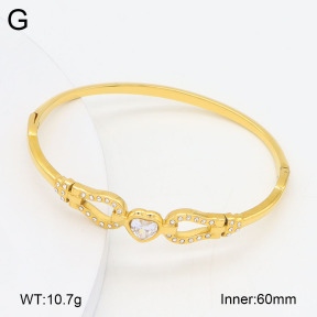 2BA402676vhkb-452  Stainless Steel Bangle