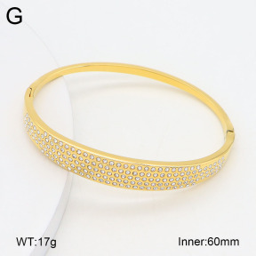 2BA402677vhkb-452  Stainless Steel Bangle