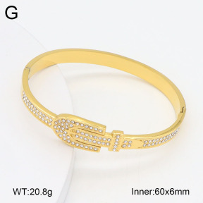 2BA402679vhkb-452  Stainless Steel Bangle