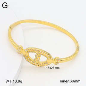 2BA402686vhkb-452  Stainless Steel Bangle