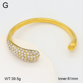 2BA402699biib-649  Stainless Steel Bangle