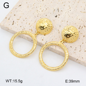 2E2006430bhva-480  Stainless Steel Earrings