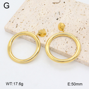 2E2006431bhva-480  Stainless Steel Earrings