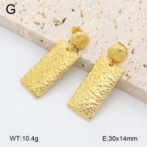 2E2006435bvpl-480  Stainless Steel Earrings