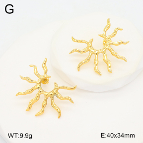 2E2006617vbnb-649  Stainless Steel Earrings