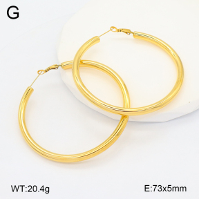 2E2006619vhmv-649  Stainless Steel Earrings