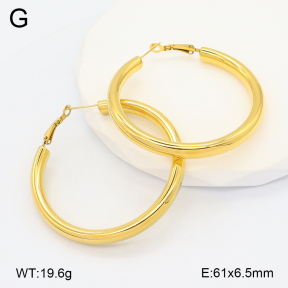 2E2006620vhmv-649  Stainless Steel Earrings