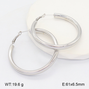 2E2006621bhia-649  Stainless Steel Earrings