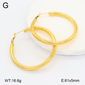 2E2006622bhjl-649  Stainless Steel Earrings