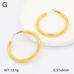 2E2006623ahjb-649  Stainless Steel Earrings