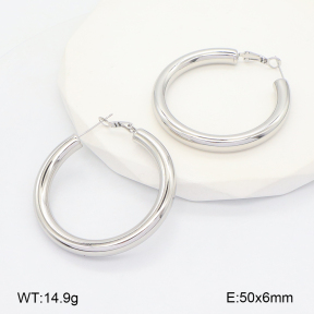 2E2006624vhha-649  Stainless Steel Earrings