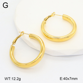 2E2006625ahjb-649  Stainless Steel Earrings