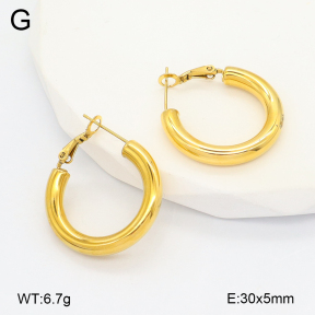 2E2006626vbpb-649  Stainless Steel Earrings