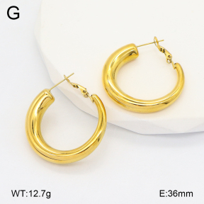 2E2006627bhia-649  Stainless Steel Earrings
