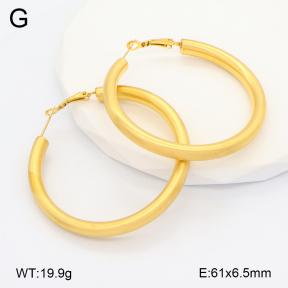 2E2006628vhmv-649  Stainless Steel Earrings