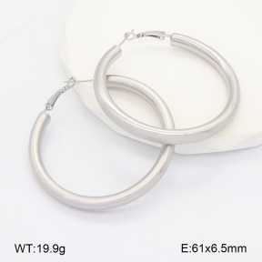 2E2006629bhia-649  Stainless Steel Earrings