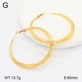 2E2006630vhmv-649  Stainless Steel Earrings