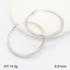 2E2006631bhia-649  Stainless Steel Earrings