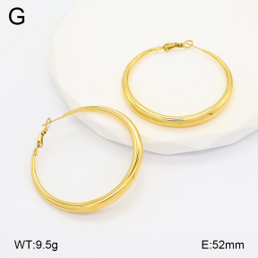 2E2006632bhjl-649  Stainless Steel Earrings
