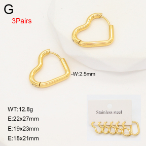 2E2006633ahlv-649  Stainless Steel Earrings