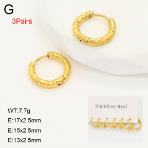 2E2006640bhbl-649  Stainless Steel Earrings