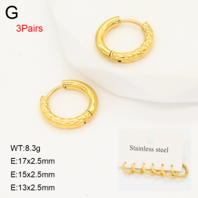 2E2006648bhbl-649  Stainless Steel Earrings