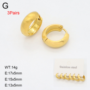 2E2006650bhjl-649  Stainless Steel Earrings