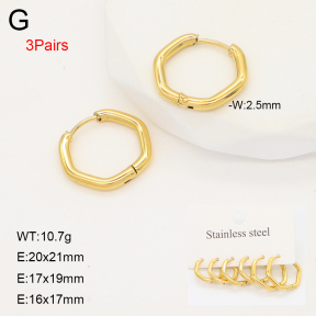 2E2006652ahlv-649  Stainless Steel Earrings