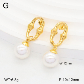 2E3003922ablb-436  Stainless Steel Earrings