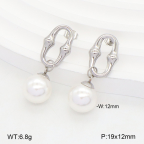 2E3003923baka-436  Stainless Steel Earrings