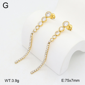 2E4004906ahjb-649  Stainless Steel Earrings