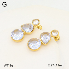 2E4004908bhia-649  Stainless Steel Earrings