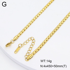 2N2008177aajo-452  Stainless Steel Necklace