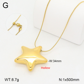 2N2008216bhva-649  Stainless Steel Necklace