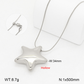 2N2008217vbnl-649  Stainless Steel Necklace