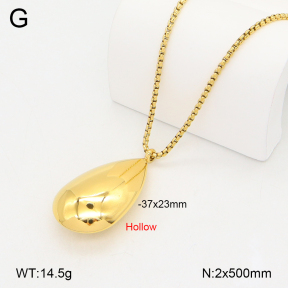 2N2008218bhva-649  Stainless Steel Necklace