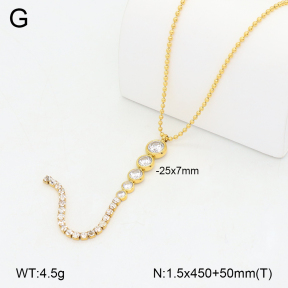 2N4005283vhha-649  Stainless Steel Necklace