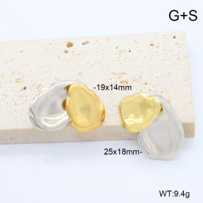 6E2007441bblj-G038  316 Pin  Stainless Steel Earrings