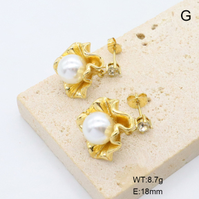 6E3002817bbnh-G038  316 Pin  Stainless Steel Earrings