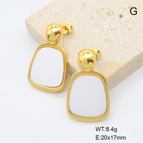 6E3002822bbmj-G038  316 Pin  Stainless Steel Earrings