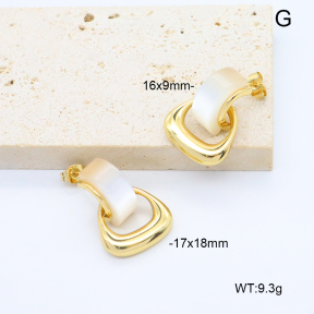 6E4004663bbmj-G038  316 Pin Resin  Stainless Steel Earrings