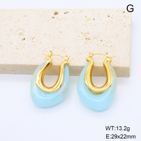 6E4004666vbnl-G038  316 Pin Resin  Stainless Steel Earrings