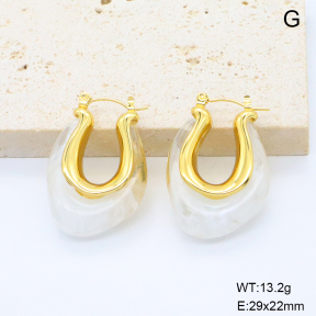 6E4004667vbnl-G038  316 Pin Resin  Stainless Steel Earrings