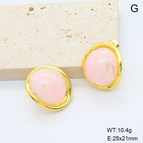 6E4004669bbni-G038  316 Pin Resin  Stainless Steel Earrings