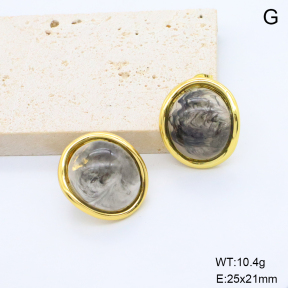 6E4004670bbni-G038  316 Pin Resin  Stainless Steel Earrings