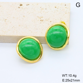 6E4004671bbni-G038  316 Pin Resin  Stainless Steel Earrings
