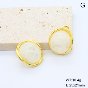 6E4004672bbni-G038  316 Pin Resin  Stainless Steel Earrings