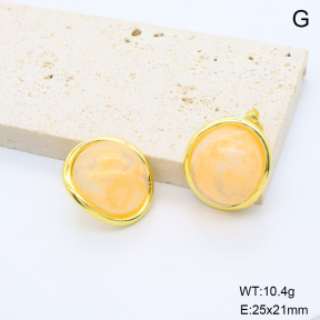 6E4004673bbni-G038  316 Pin Resin  Stainless Steel Earrings