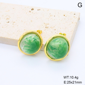 6E4004674bbni-G038  316 Pin Resin  Stainless Steel Earrings
