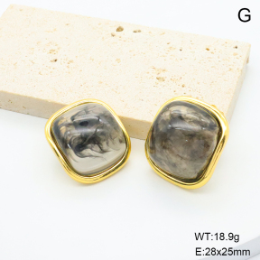 6E4004675bbni-G038  316 Pin Resin  Stainless Steel Earrings